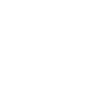 icon_trainings_culture-white-1